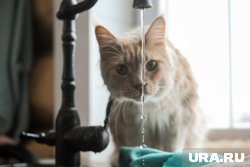 В Кургане временно остались без воды несколько домов и мебельная фабрика