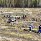 
											В Курганской области посадили уникальный геоглиф &laquo;80 лет Победы&raquo;									