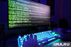 В Кургане кибермошенники украли почти 4 миллиона рублей за неделю В Кургане кибермошенники украли почти 4 миллиона рублей за неделю