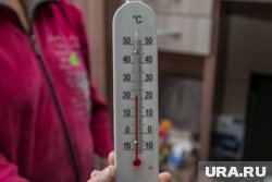 В Курганской области потеплеет до 20 градусов