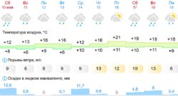 Шадринск накроют дожди на 10 дней. Скрин