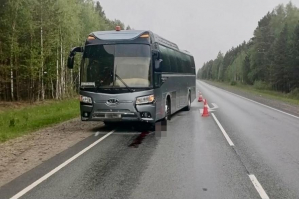 В Курганской области автобус насмерть сбил человека