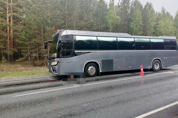 В Курганской области автобус насмерть сбил человека