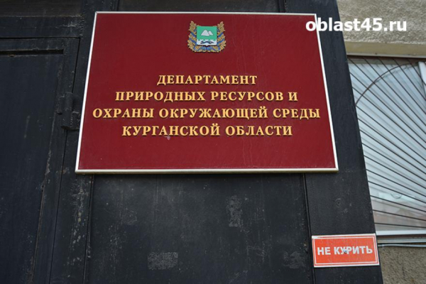 В Курганской области выберут лучшего работника лесного хозяйства