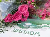 
											Сорок талантливых ребят получили стипендию &laquo;Юные дарования Зауралья&raquo;									