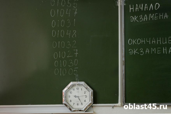 В Кургане ЕГЭ по немецкому сдавали всего два человека В Кургане ЕГЭ по немецкому сдавали всего два человека