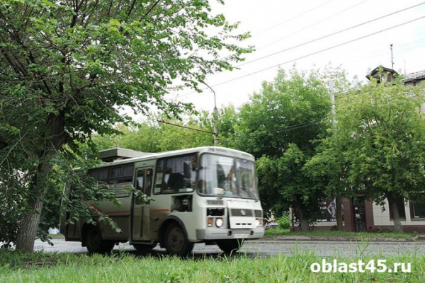Власти Кургана опровергли фейки о 14-м автобусе, который едет через Затобольный Власти Кургана опровергли фейки о 14-м автобусе, который едет через Затобольный