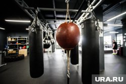 Чемпион Европы из Кургана показал, как тренируется после травмы. Видео Чемпион Европы из Кургана показал, как тренируется после травмы. Видео