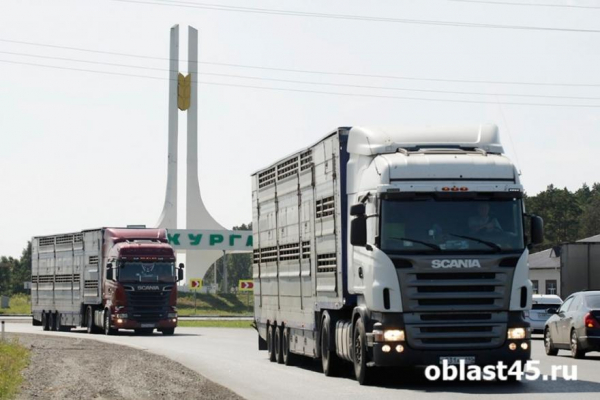 В Курганской области из-за жары ограничили движение для большегрузов В Курганской области из-за жары ограничили движение для большегрузов