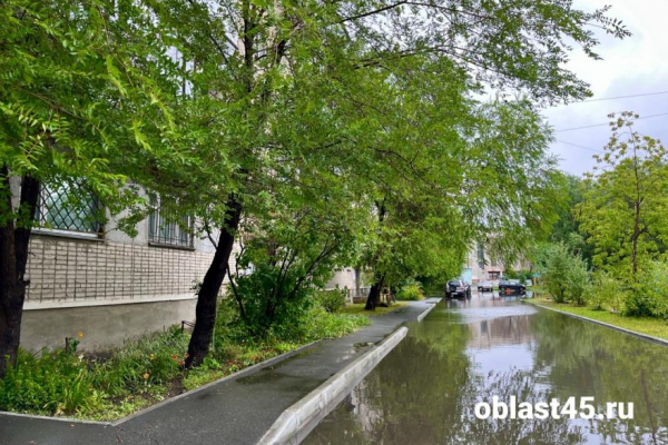 Курганцы могут обратиться в свою УК для откачки воды около дома