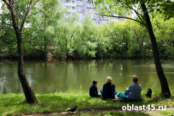 Лето в самом разгаре: как отдыхали курганцы в первой половине сезона