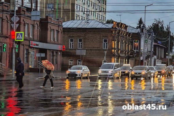 В Кургане запретили парковаться на улице Гоголя 