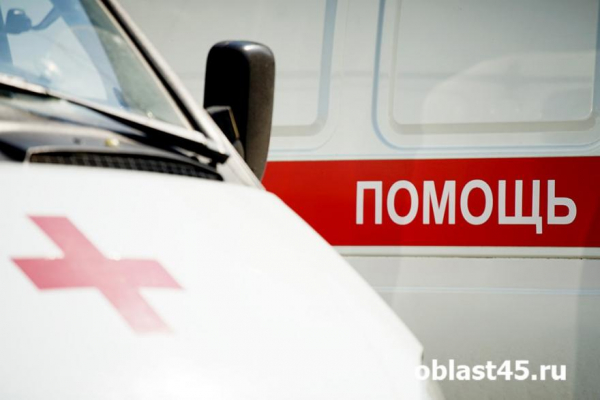 Авария на зауральской трассе &laquo;Иртыш&raquo; унесла жизни двух человек