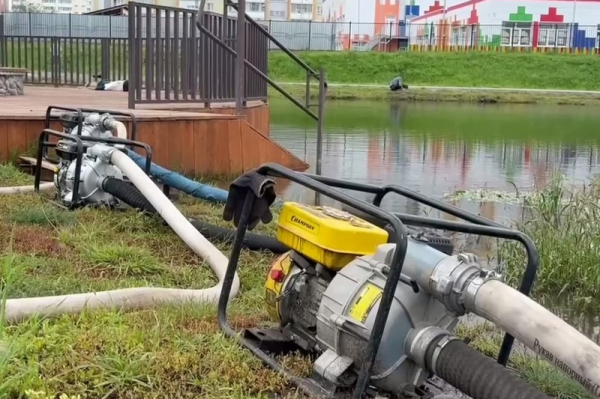 В парке в Заозерном в Кургане откачивают воду