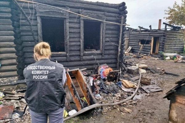 В Курганской области при пожаре погибли многодетные родители и ребёнок 