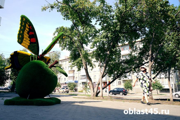 В Кургане обрабатывать парки от клещей начнут 20 августа