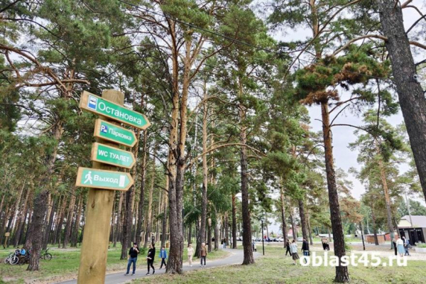 В Кургане День города впервые отметят в экопарке и новом парке Заозёрного