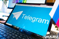 Telegram набирает популярность в Курганской области. Инфографика
