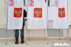Тысячи жителей Курганской области подали заявления для онлайн-голосования