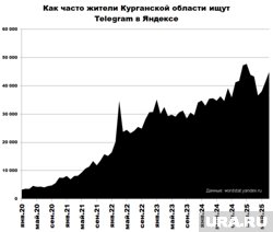 Telegram набирает популярность в Курганской области. Инфографика