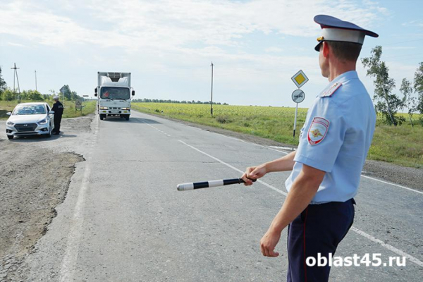 ГАИ защищает курганцев от опасных &laquo;пьяных&raquo; поездок