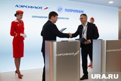 Российский бизнес сделает авиаперелеты более экологичными 