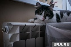 Итоги выборов, трагедия в Заозерном и снос колеса обозрения: топ событий недели в Кургане