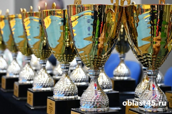 В Кургане назвали имена чемпионов Кубка губернатора по самбо В Кургане назвали имена чемпионов Кубка губернатора по самбо