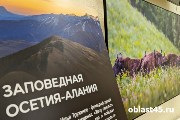 От Камчатки до Северной Осетии: курганцев знакомят с уникальными фотоработами
