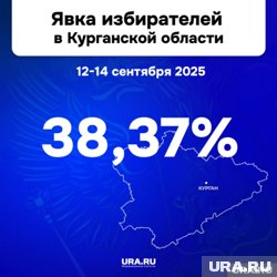 Итоги выборов, трагедия в Заозерном и снос колеса обозрения: топ событий недели в Кургане