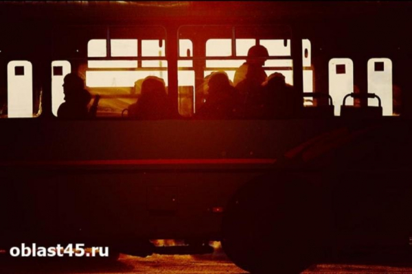 На улицы Кургана выедут 88 новых автобусов