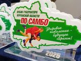 
											Соревнования на Кубок губернатора Курганской области по самбо завершились победами спортсменов курганской школы олимпийского резерва №1									