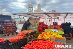 Что и кто продает на осенних ярмарках в Кургане: вся правда об овощах. Фото, видео Что и кто продает на осенних ярмарках в Кургане: вся правда об овощах. Фото, видео