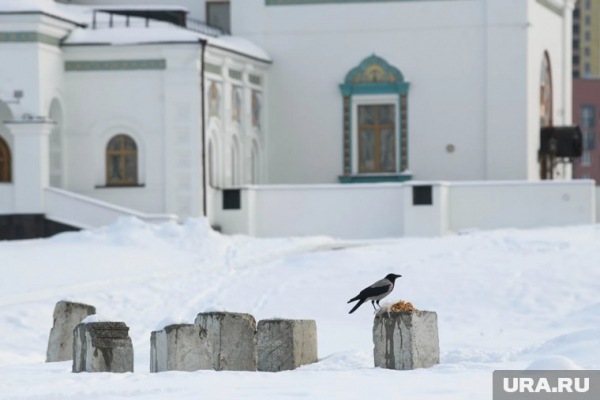 Покров Пресвятой Богородицы: что можно и нельзя делать