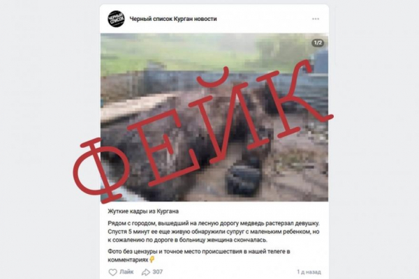 В интернете распространили фейк о том, что жительницу Кургана растерзал медведь В интернете распространили фейк о том, что жительницу Кургана растерзал медведь