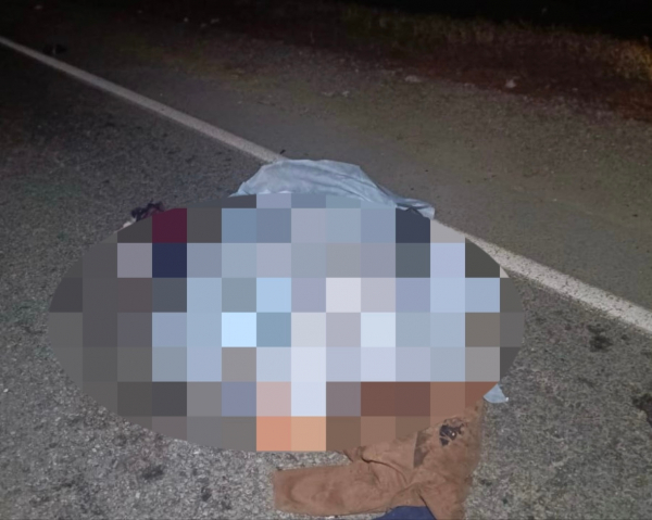 В Зауралье мужчину насмерть сбил грузовик В Зауралье мужчину насмерть сбил грузовик