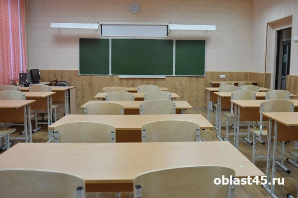 В Курганской области 44 школьных класса на карантине из-за ОРВИ 
