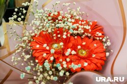 Путин поздравил со 100-летием жительницу Курганской области. Фото