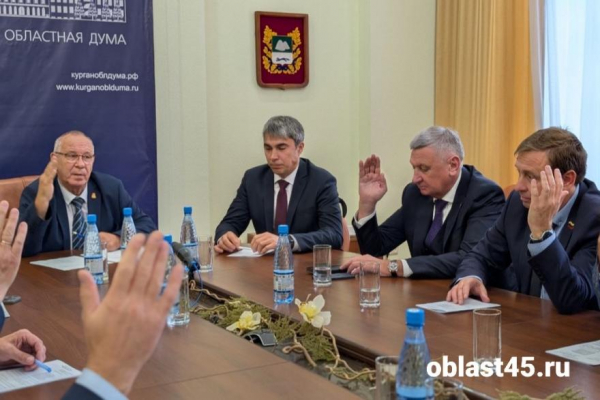 Кто в курганской облдуме 8-го созыва будет возглавлять комитеты?