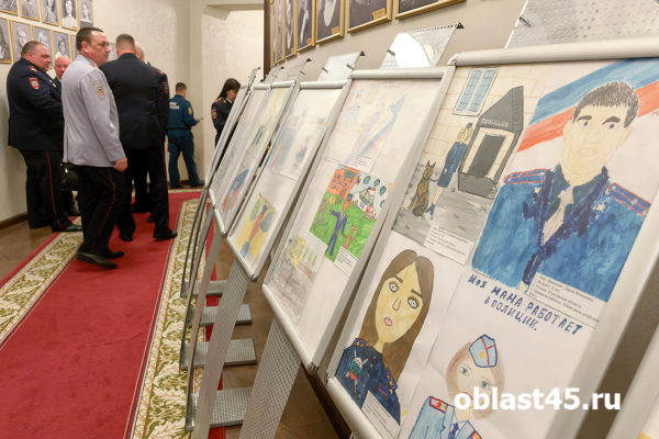 17 автомобилей и 6 квартир: курганские полицейские получили подарки 17 автомобилей и 6 квартир: курганские полицейские получили подарки
