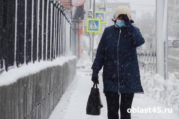 На четверть снизился показатель заболеваемости ОРВИ в Курганской области На четверть снизился показатель заболеваемости ОРВИ в Курганской области