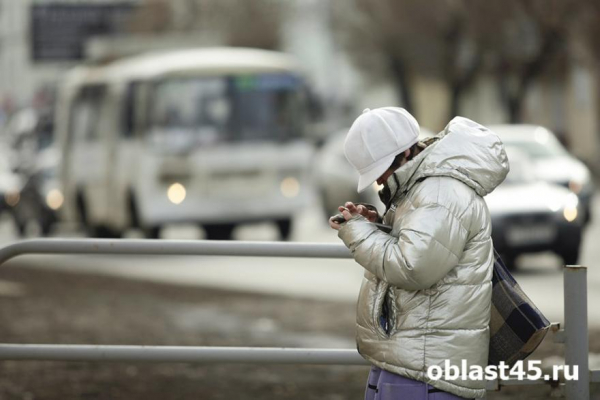 В Кургане отменили автобусный маршрут № 321 В Кургане отменили автобусный маршрут № 321