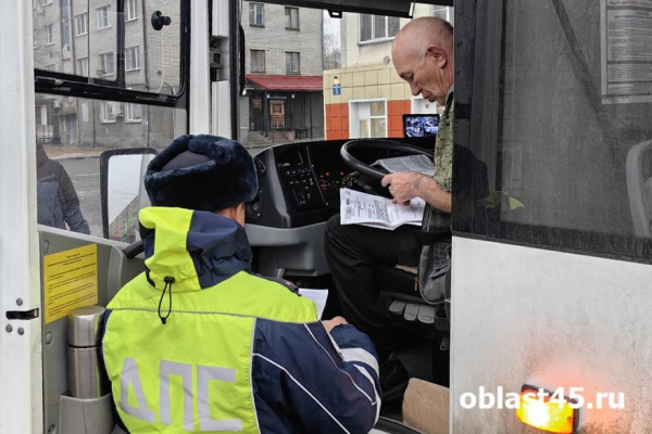 В Кургане водители автобусов нарушают правила ПДД, инспекторы ГАИ - штрафуют В Кургане водители автобусов нарушают правила ПДД, инспекторы ГАИ - штрафуют