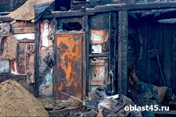 В Зауралье за сутки сгорели 3 бани, дача и гараж