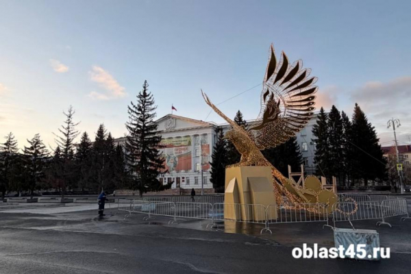 В Курган «прилетела» новогодняя птица, но не принесла с собой снег В Курган «прилетела» новогодняя птица, но не принесла с собой снег