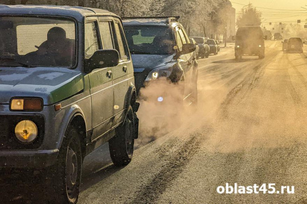 Автобусы и такси снова могут выезжать на трассу &laquo;Иртыш&raquo; в Курганской области