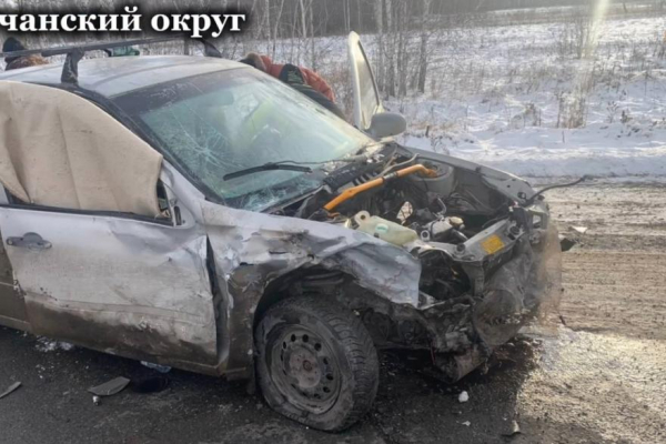 На трассе в Курганской области погиб водитель, ещё двоих госпитализировали