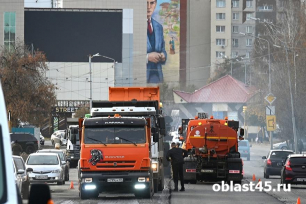 В Курганской области за семь лет отремонтировали 2750 км дорог