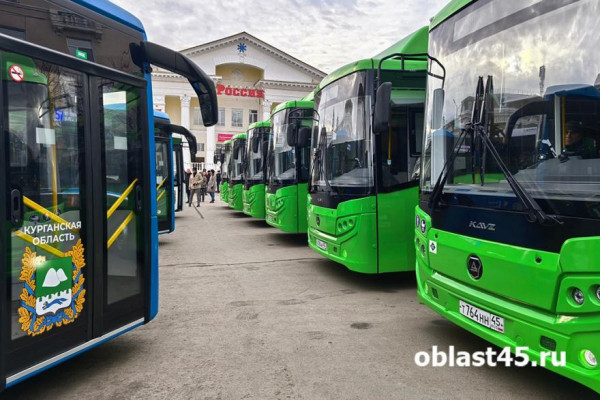 В Кургане могут быть перебои в работе автобусов из-за морозов В Кургане могут быть перебои в работе автобусов из-за морозов
