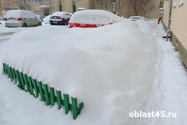 Из Кургана вывезли 44 тысячи тонн снега: уборка города продолжается Из Кургана вывезли 44 тысячи тонн снега: уборка города продолжается
